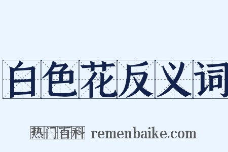 白色花反义词是什么意思的图片